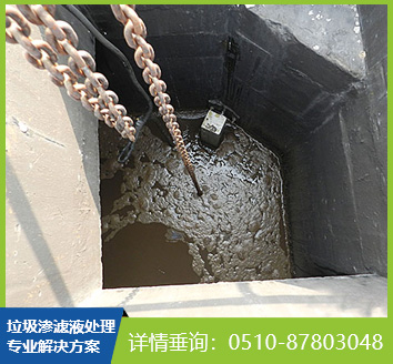 一級(jí)反消化